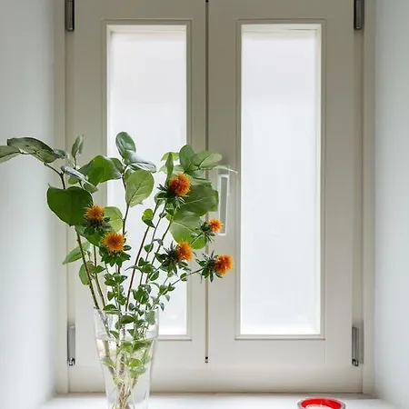 Flh Santa Catarina River View Апартаменты